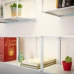 Casapalestro8#1