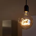 Casapalestro8#1